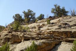Checking us out [sat aug 30 08:39:00 mdt 2025]